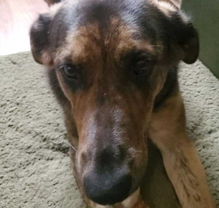 Photo of Phoebe