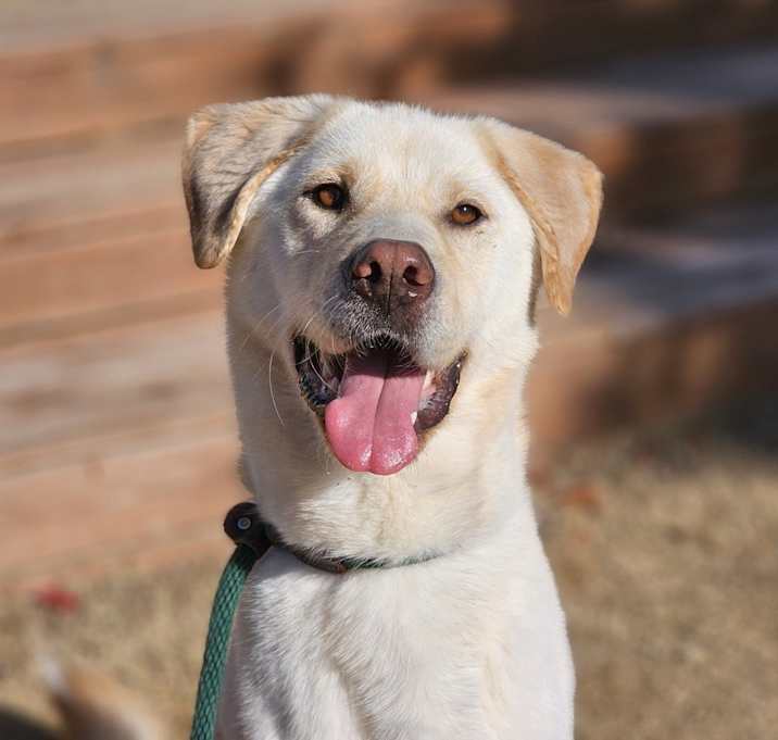 Photo of Ilbok