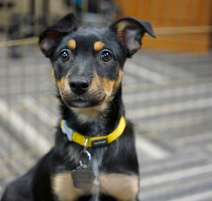 Photo of Panini