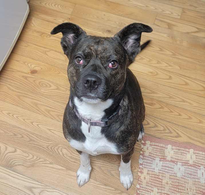 Photo of Ellie