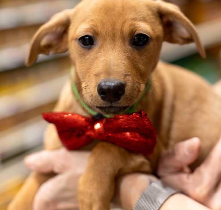 Photo of Titan