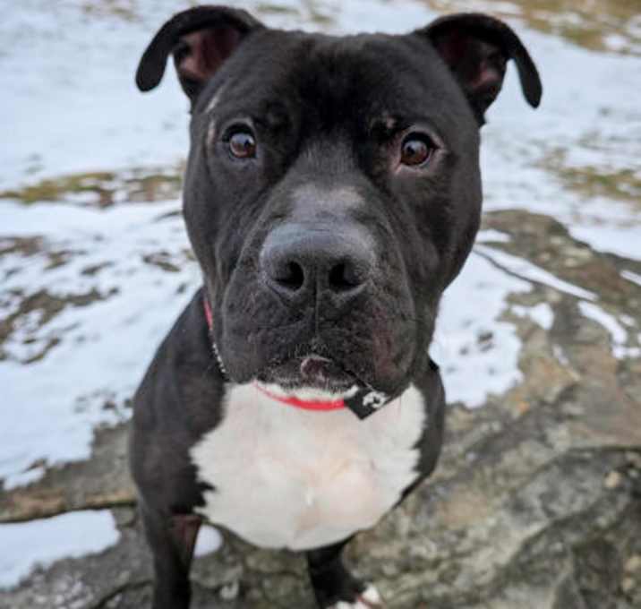 Photo of Riggs