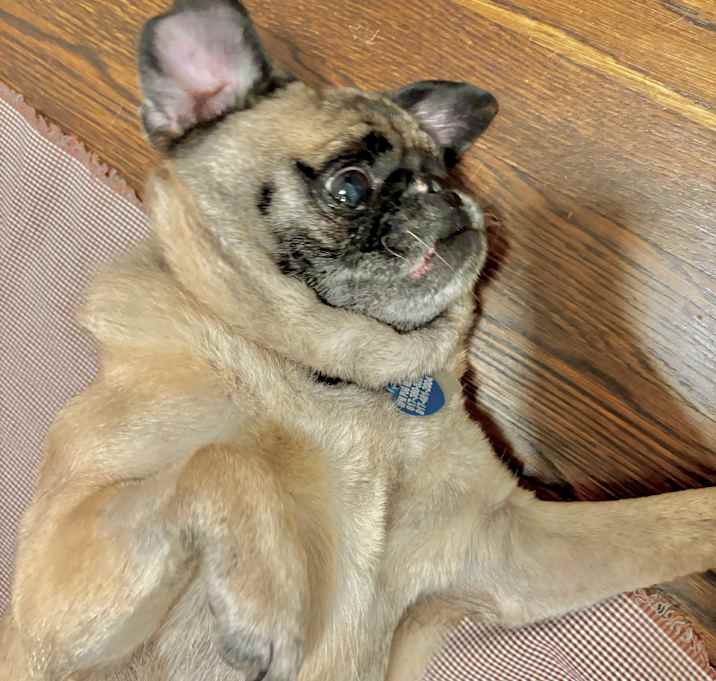 Photo of Turo