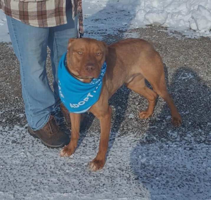 Photo of Axle