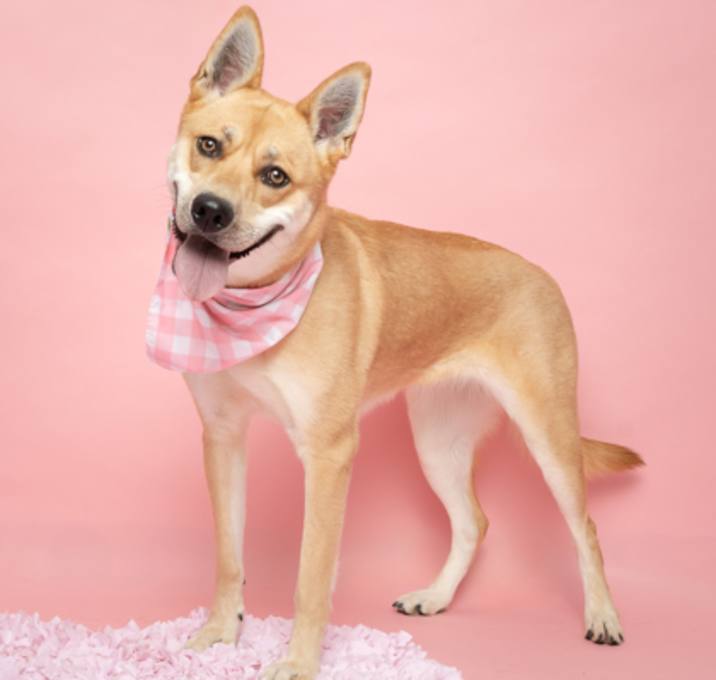 Photo of Sasha