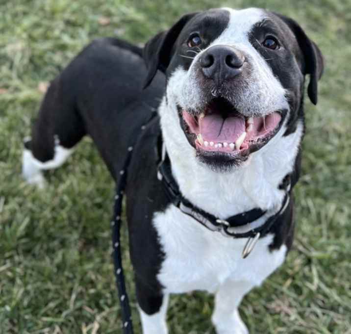 Photo of Courage