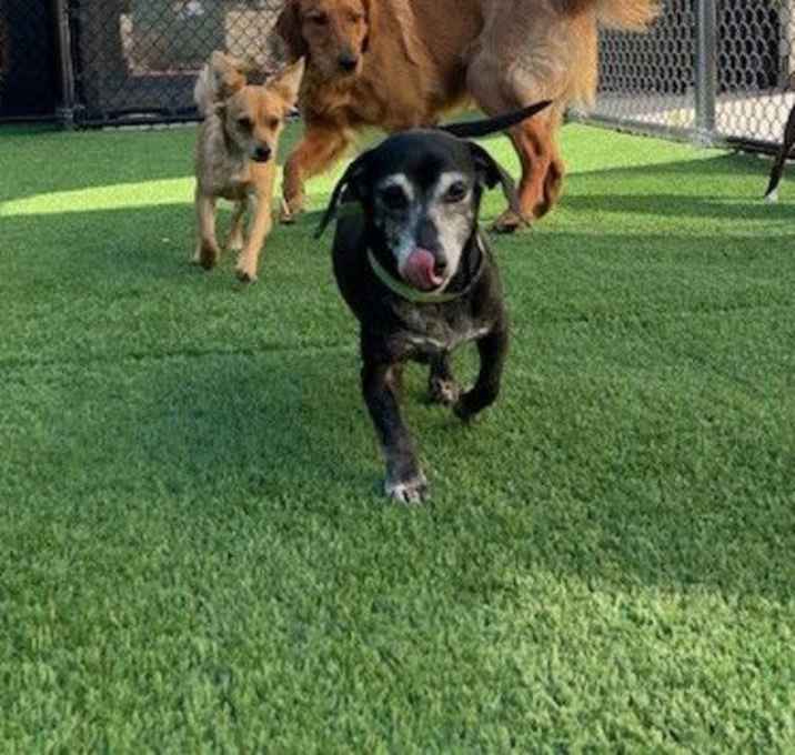 Photo of Daisy Duke