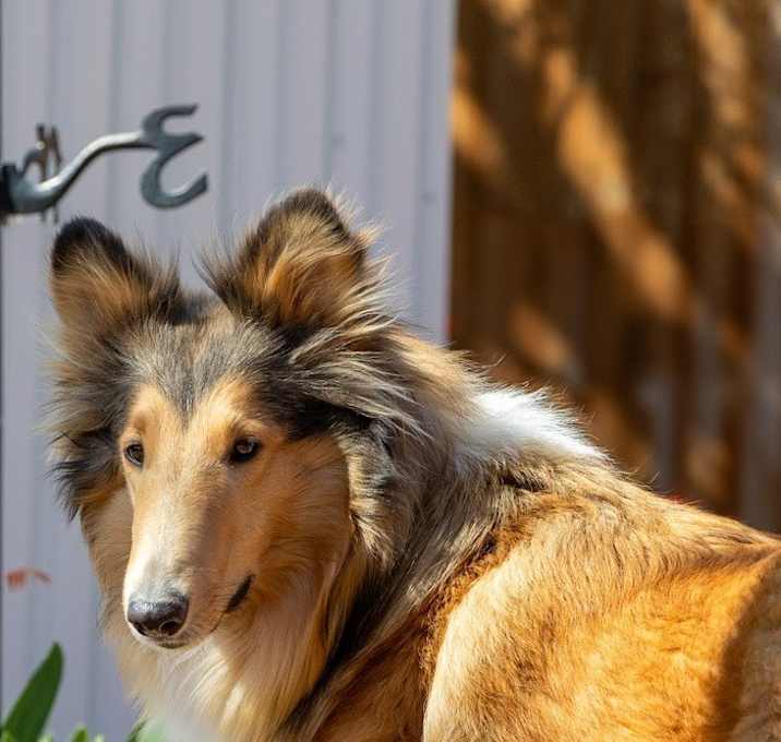 Photo of Molly