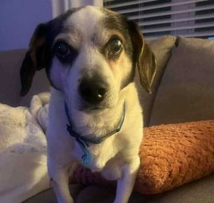 Photo of Buster~