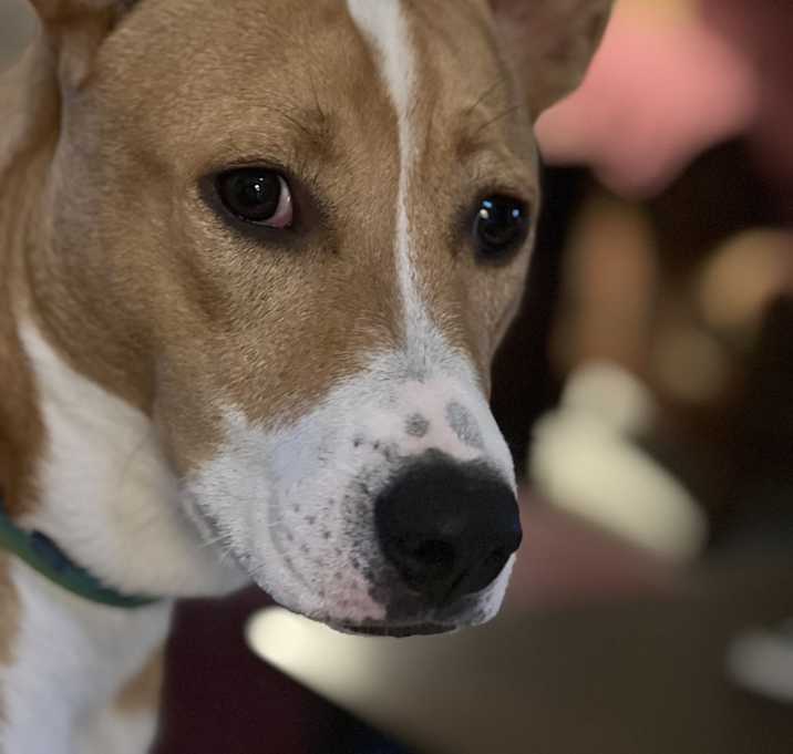Photo of Charlie