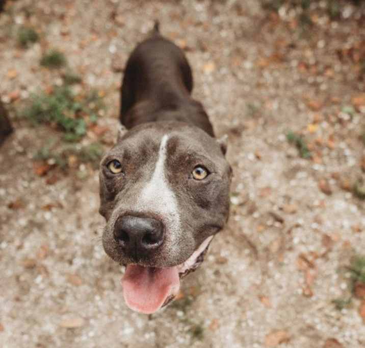 Photo of Gambit