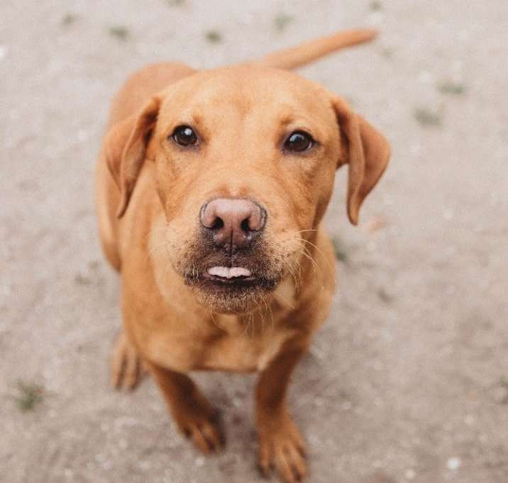 Photo of Big Red