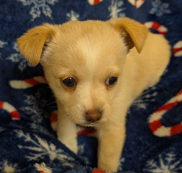 Photo of Pru