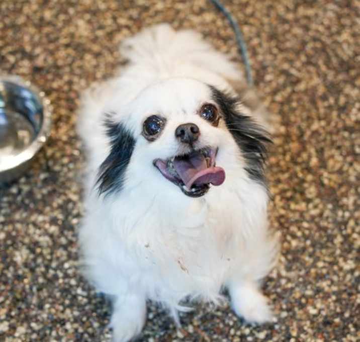 Photo of Twinkle