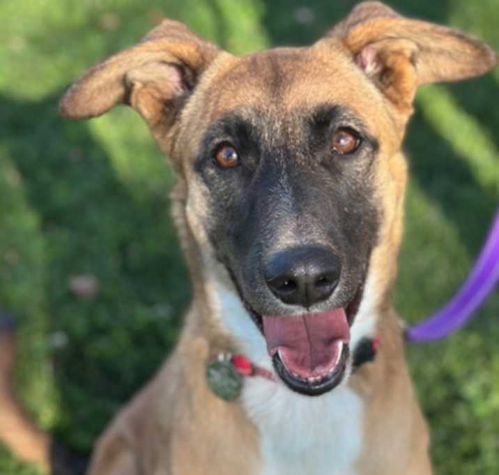 Photo of Macy