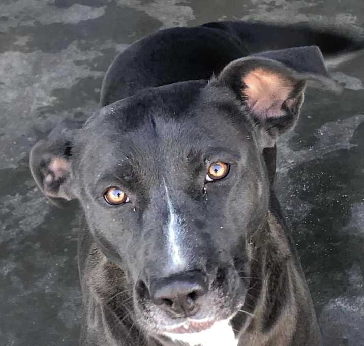 Photo of Ricky