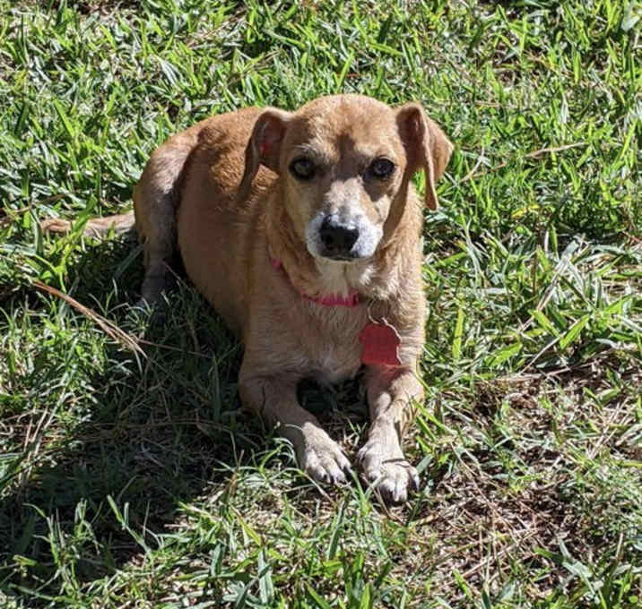 Photo of Bella