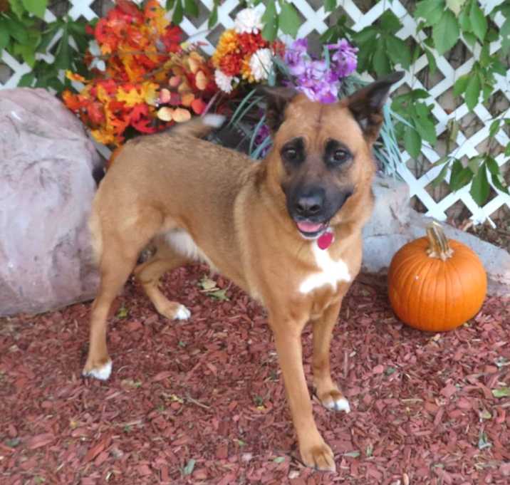 Photo of ROO
