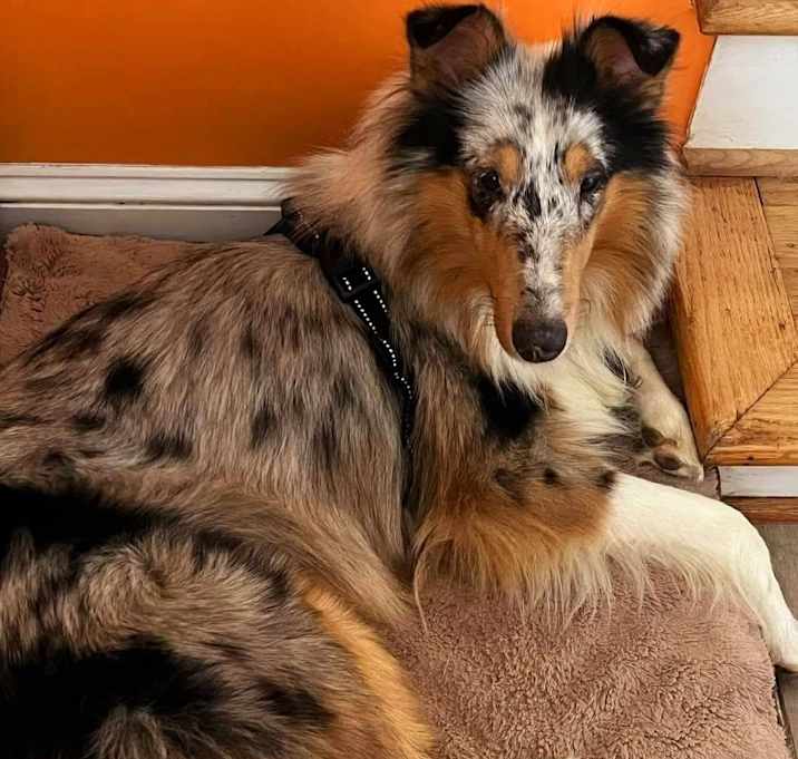 Photo of Storm