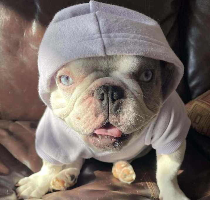 Photo of Swayze