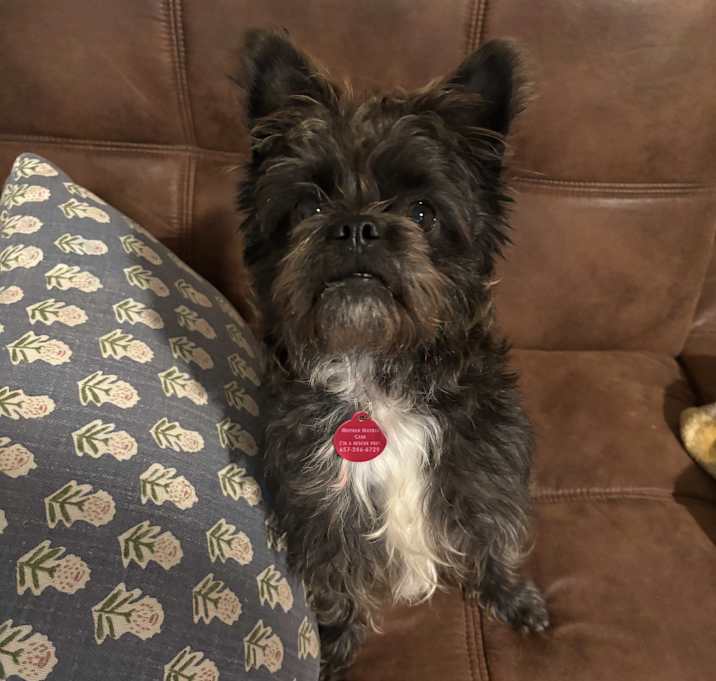 Photo of Gigi