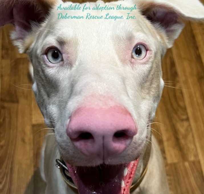 Photo of Cash 3351