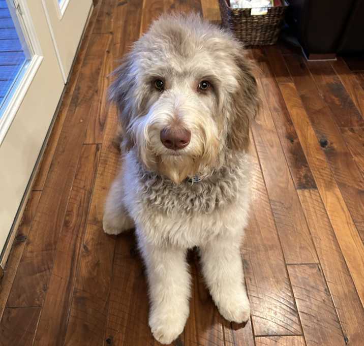 Photo of Sandy