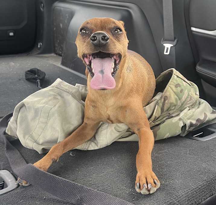 Photo of Brody
