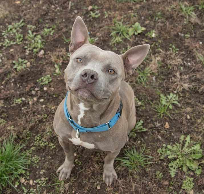 Photo of Blu