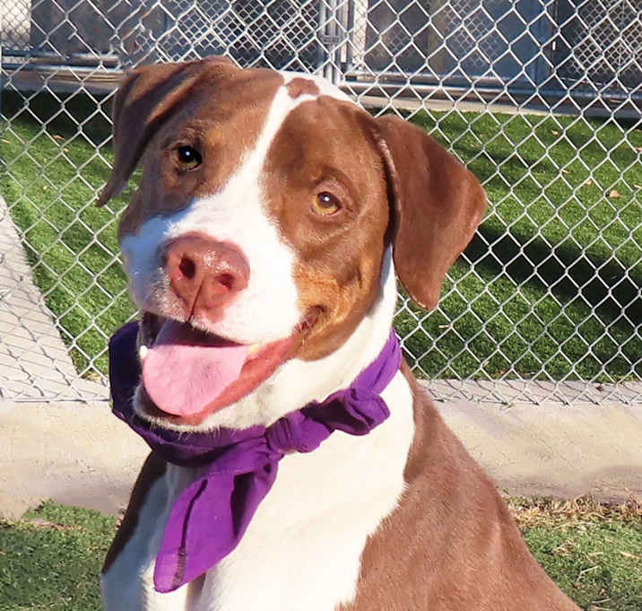 Photo of Oakley
