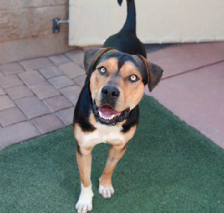Photo of Jonah *Sponsored, energetic, g
