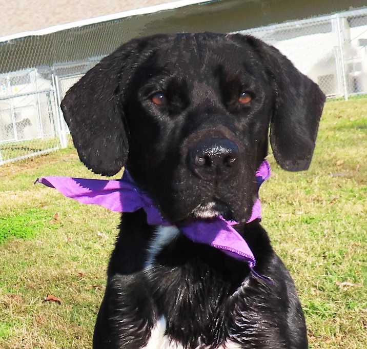 Photo of Hunter