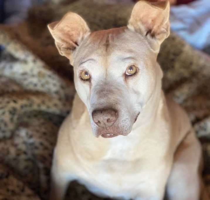 Photo of Missy