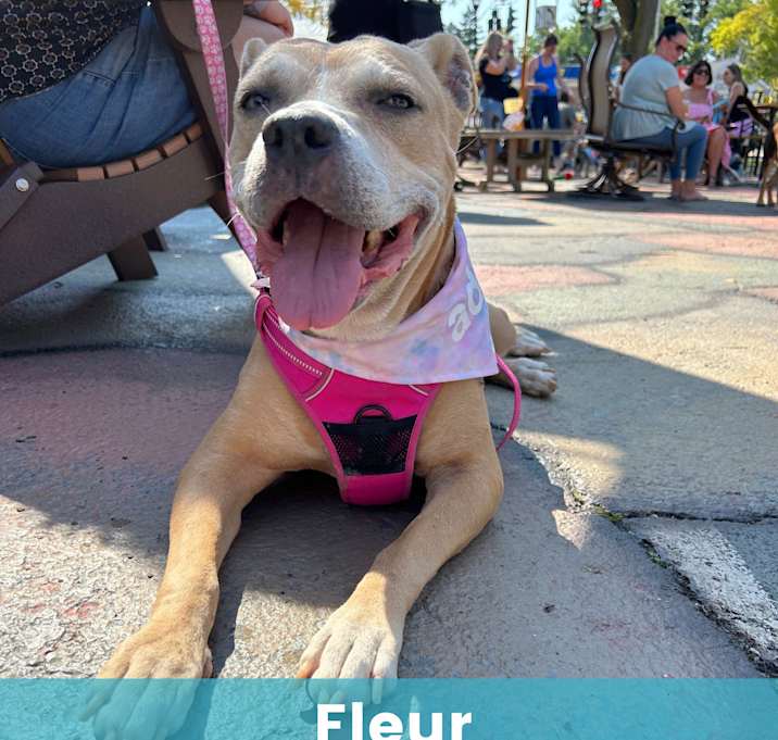 Photo of Fleur
