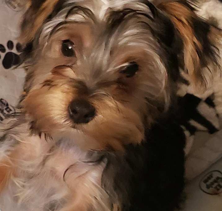 Photo of Rory