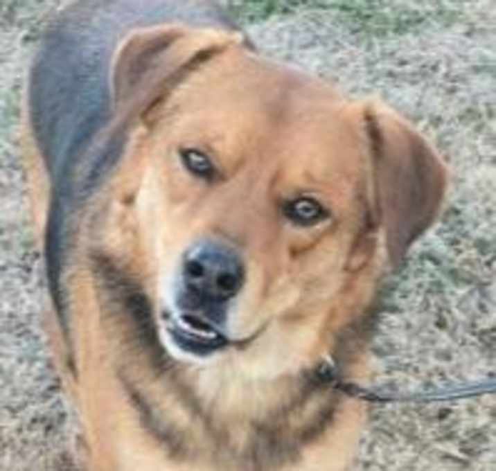 Photo of Remarkable Ralph