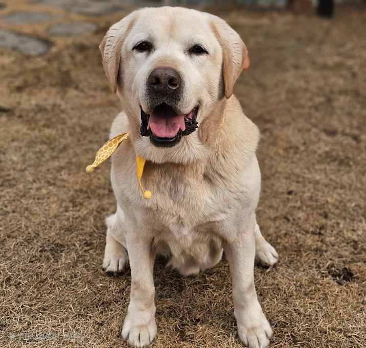 Photo of Sunshine