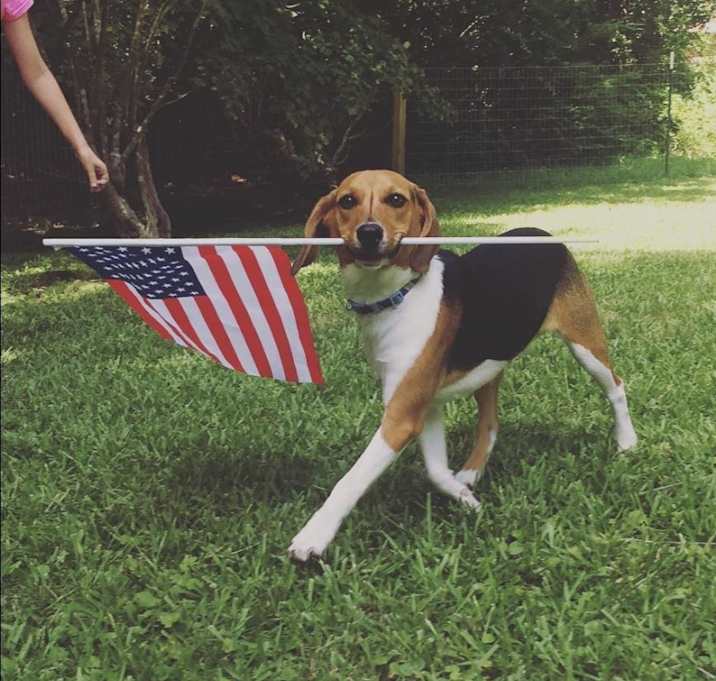 Photo of Charlie