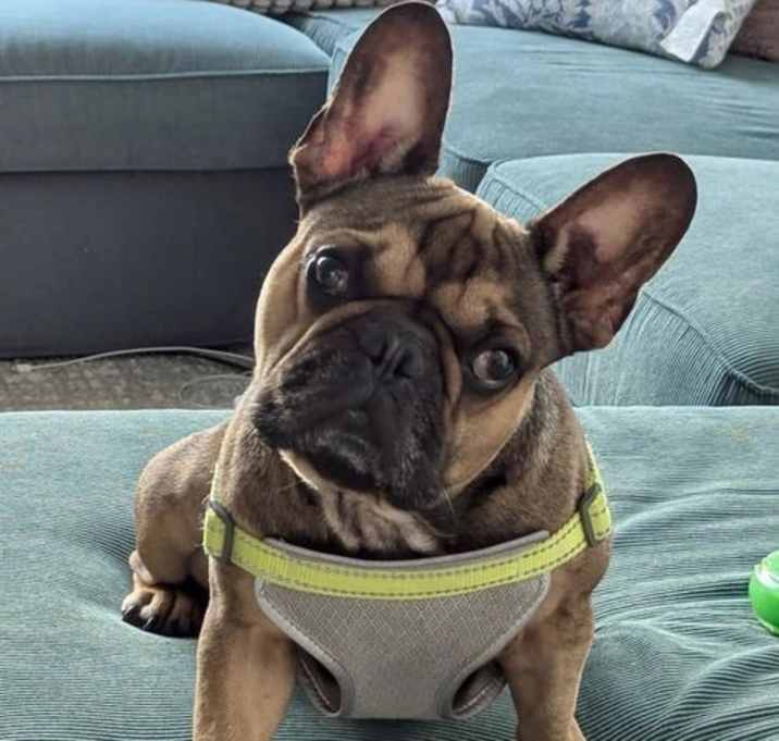Photo of Churro