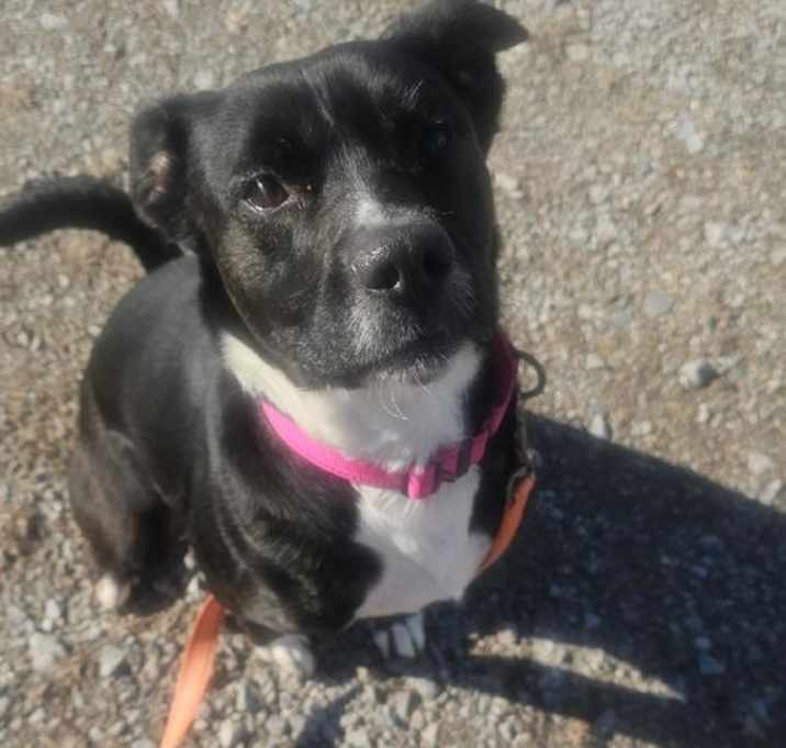Photo of MOLLY