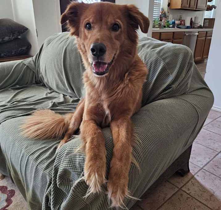 Photo of Cooper