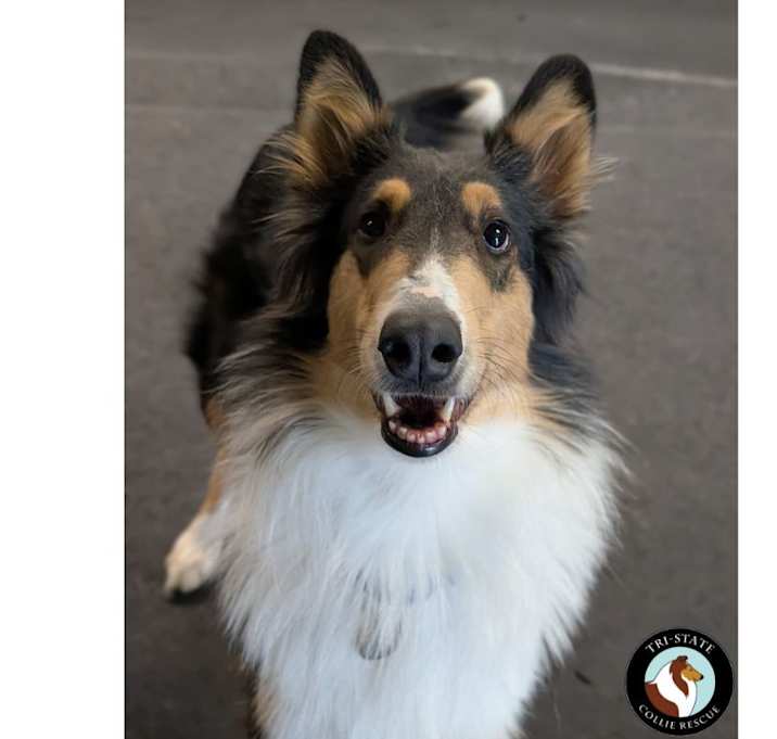 Photo of Stella