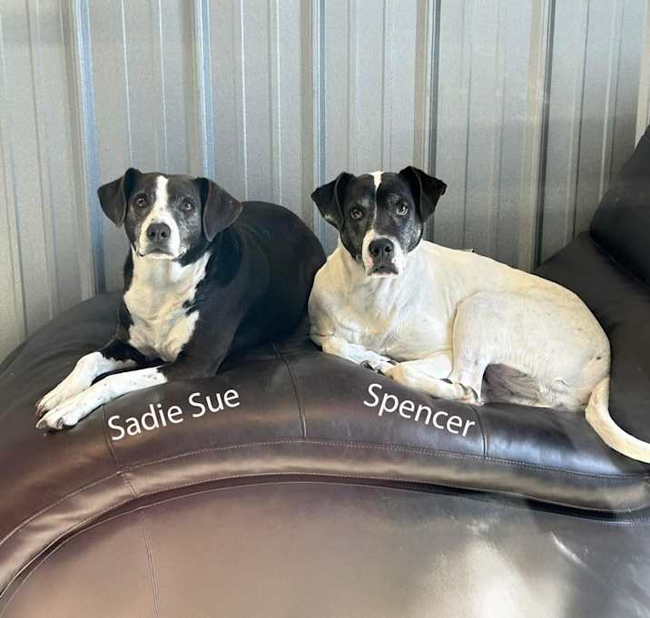 Photo of Sadie Sue