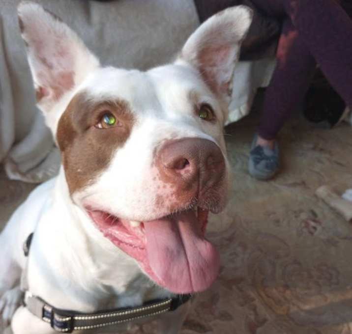Photo of Sugar