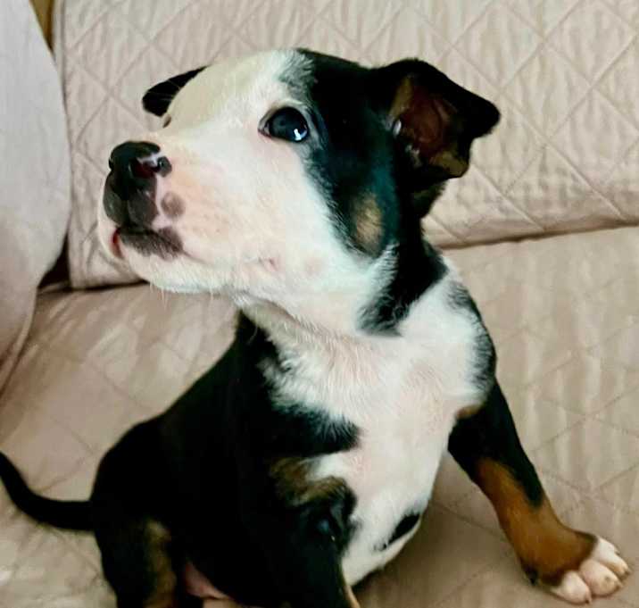 Photo of ENZO