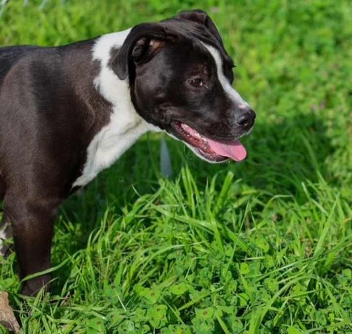 Photo of Cosmo