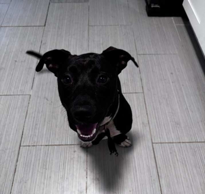 Photo of Shorty (brandon)