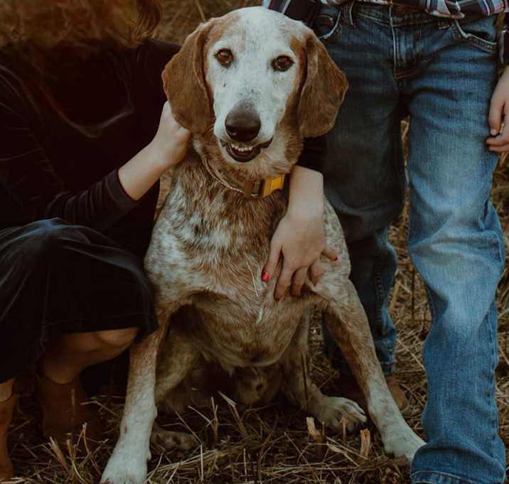 Photo of Ranger