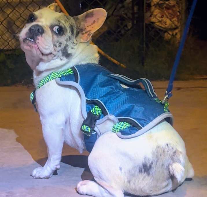 Photo of Chloe