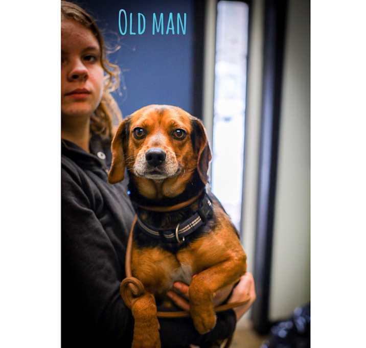 Photo of Old Man